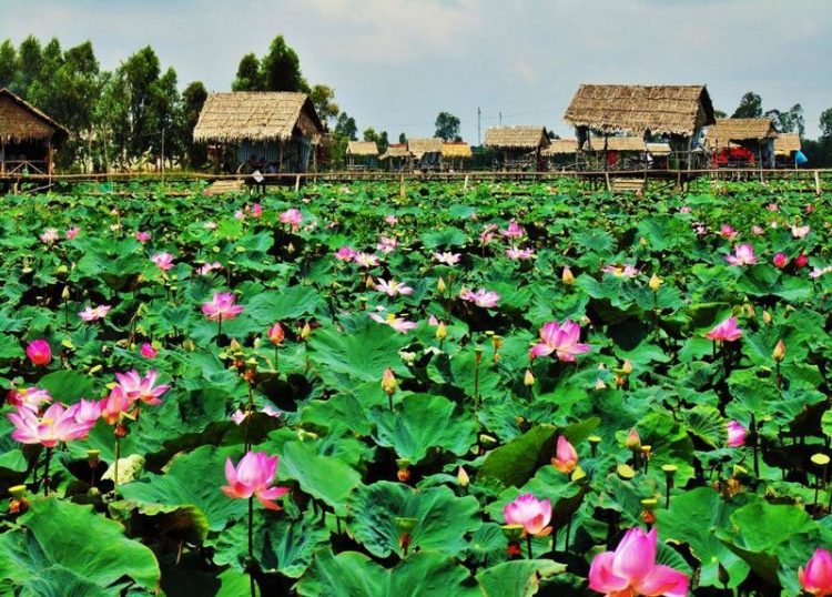 địa điểm du lịch Đồng Tháp địa điểm du lịch Đồng Tháp