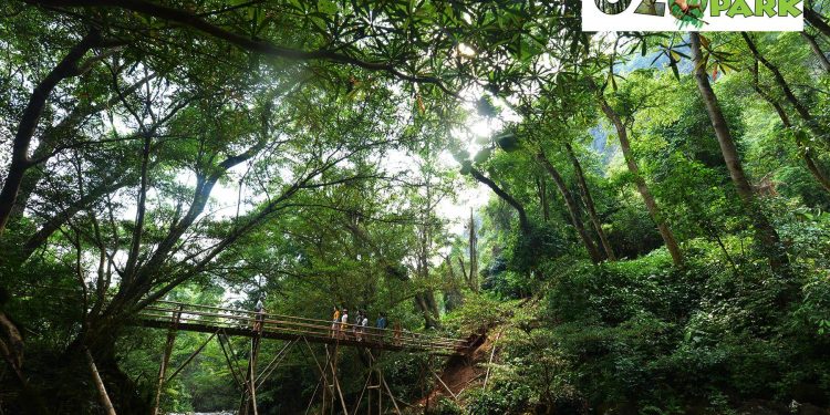 Vui chơi giải trí ở Quảng Bình Ozo Treetop- Vui Chơi Giải Trí ở Quảng Bình