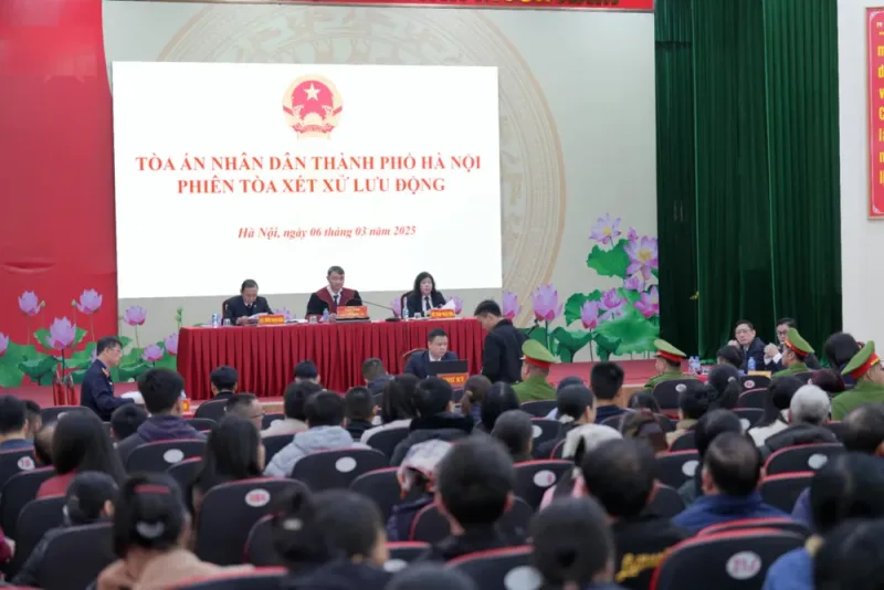 đấu giá đất.jpg