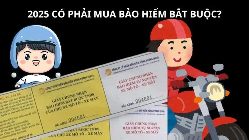 de xuat nguoi dan khong phai mua bao hiem xe may bat buoc ai can thi mua bo tai chinh tra loi the nao 125501 jpg