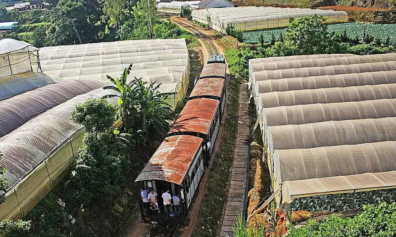 duong sat da lat thap cham 174 8200 3884 1741157506 jpg