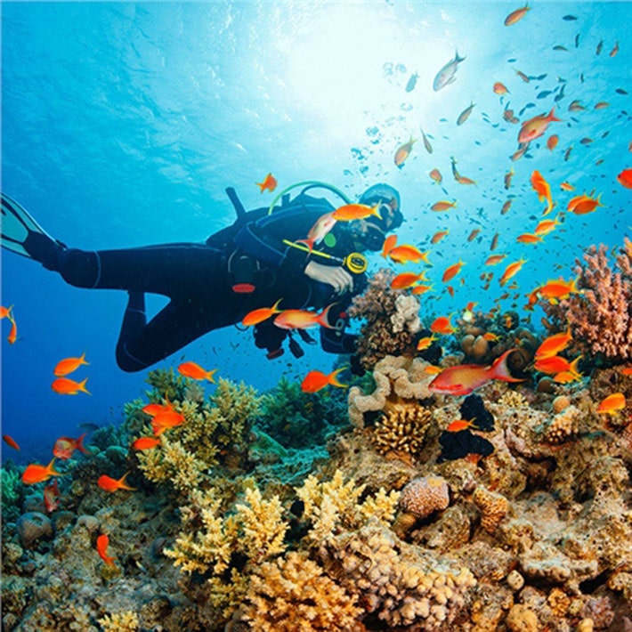 Tour 4 Đảo Nha Trang Lặn Biển Tour 4 Đảo Nha Trang Lặn Biển