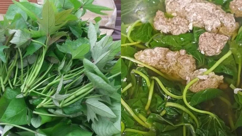 mon rau 10000 dong mo nhung la than duoc cho suc khoe nhieu nguoi bat ngo khi biet cong dung 153632 jpg