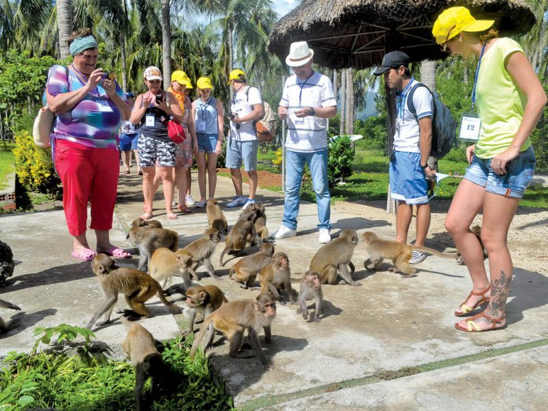 Tour Đảo Khỉ Đảo Hoa Lan vịnh Nha Phu Tour Đảo Khỉ Đảo Hoa Lan vịnh Nha Phu