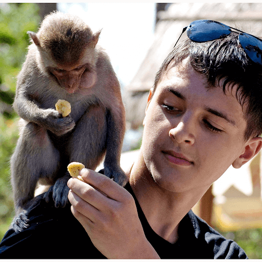 Tour Đảo Khỉ Đảo Hoa Lan vịnh Nha Phu Tour Đảo Khỉ Đảo Hoa Lan vịnh Nha Phu