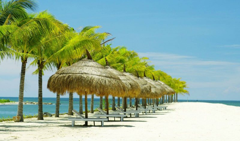 Tour Đảo Khỉ Đảo Hoa Lan vịnh Nha Phu Tour Đảo Khỉ Đảo Hoa Lan vịnh Nha Phu