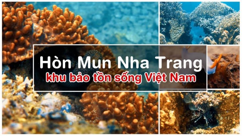 Tour lặn biển hòn Mun hòn Một Nha Trang Tour lặn biển hòn Mun hòn Một Nha Trang
