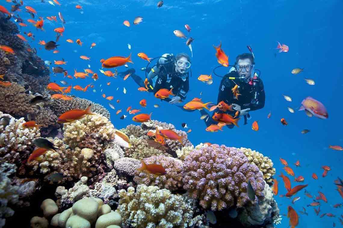 Tour lặn biển hòn Mun hòn Một Nha Trang Tour lặn biển hòn Mun hòn Một Nha Trang