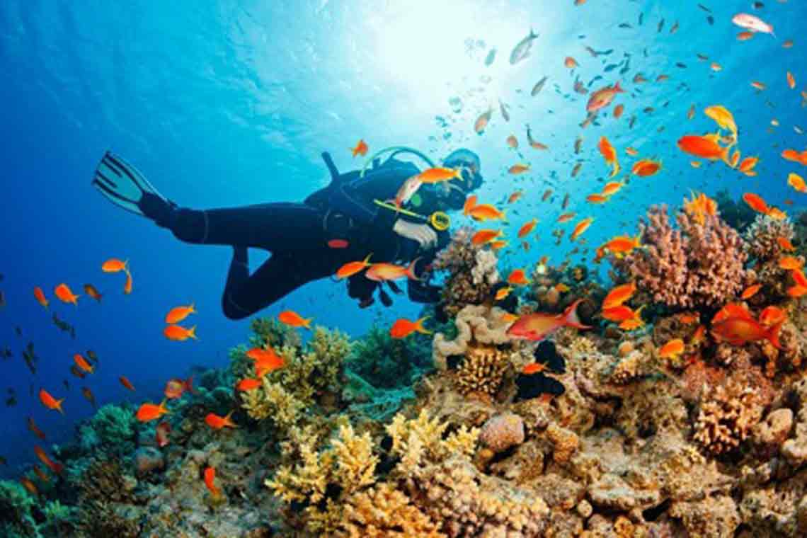 Tour lặn biển hòn Mun hòn Một Nha Trang Tour lặn biển hòn Mun hòn Một Nha Trang