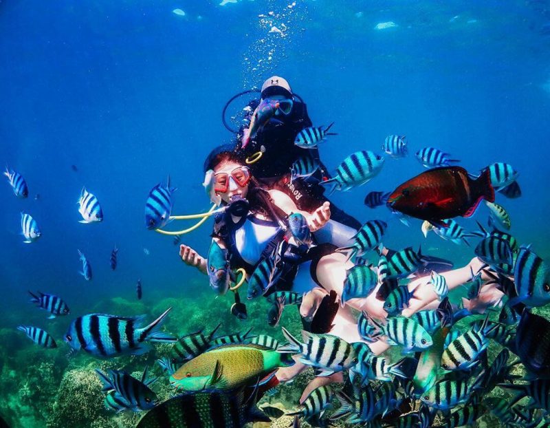 Tour lặn biển hòn Mun hòn Một Nha Trang Tour lặn biển hòn Mun hòn Một Nha Trang