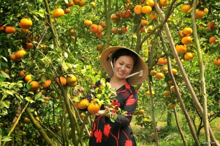 địa điểm du lịch Đồng Tháp địa điểm du lịch Đồng Tháp