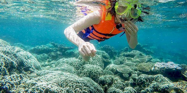 Tour 4 Đảo Nha Trang 1 Ngày Tour 4 đảo 1 ngày Nha Trang