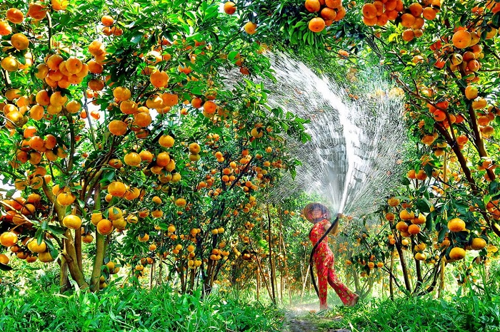 địa điểm du lịch Đồng Tháp địa điểm du lịch Đồng Tháp
