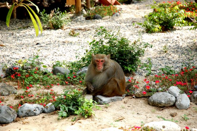 Tour du lịch Hà Nội Cát Bà 2 ngày Tour du lịch Hà Nội Cát Bà 2 ngày