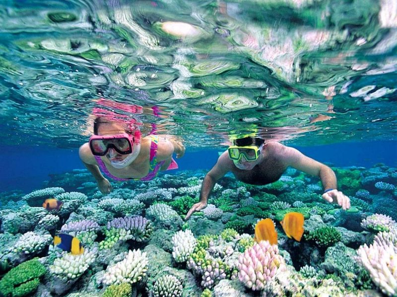 tour đảo Bình Hưng 1 ngày tour đảo Bình Hưng 1 ngày