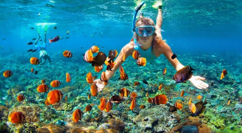 tour 4 đảo lặn biển Nha Trang trọn gói tour 4 đảo lặn biển Nha Trang trọn gói