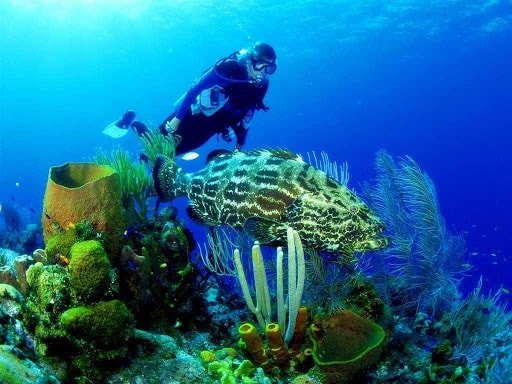 tour 4 đảo lặn biển Nha Trang trọn gói tour 4 đảo lặn biển Nha Trang trọn gói