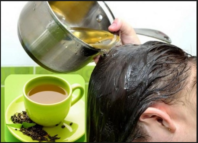 loai-la-giup-ngan-rung-toc-1957 Trong lá trà xanh có chứa hoạt chất caffeine tự nhiên giúp ức chế hormone DHT (dihydrotestosterone) – một trong những nguyên nhân chính gây ra tình trạng rụng tóc ở cả nam và nữ