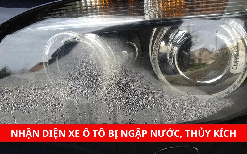 nhan dien xe o to bi ngap nuoc thuy kich png