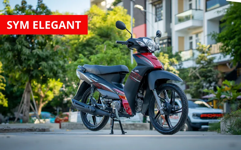suzuki elegant 1 png
