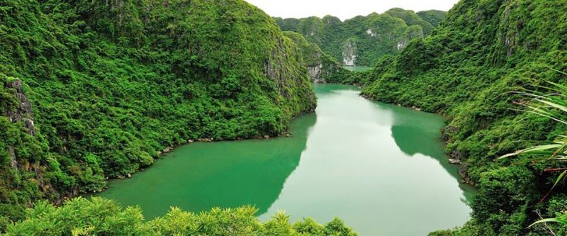 Tour du lịch Hà Nội Cát Bà 2 ngày Tour du lịch Hà Nội Cát Bà 2 ngày