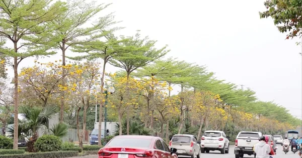 w hoa phong linh 6 1 jpg
