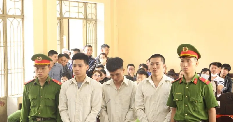 Che dấu bạn ngáo đá đâm chết người, cả nhóm cùng lãnh án. Ảnh: TN