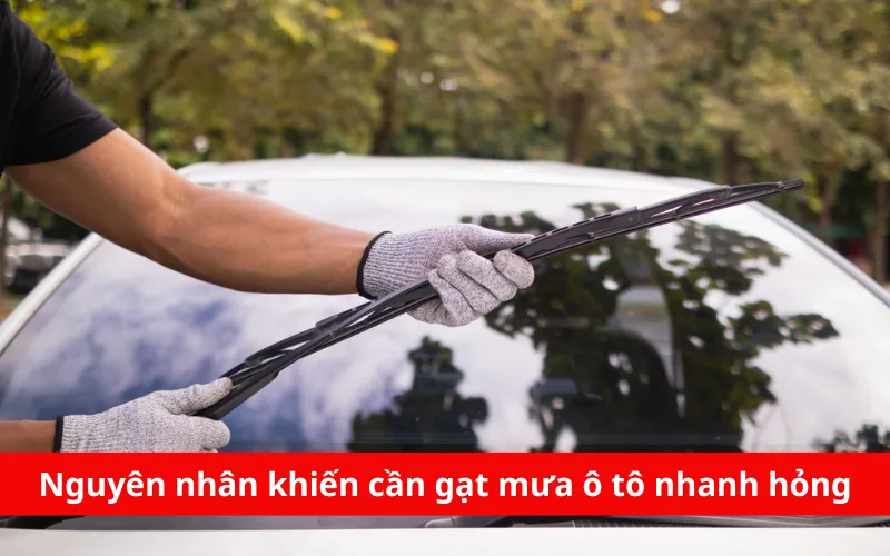 nguyen nhan khien can gat mua o to nhanh hong png