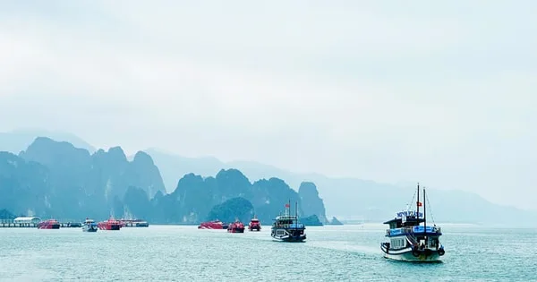vinh bai jpg