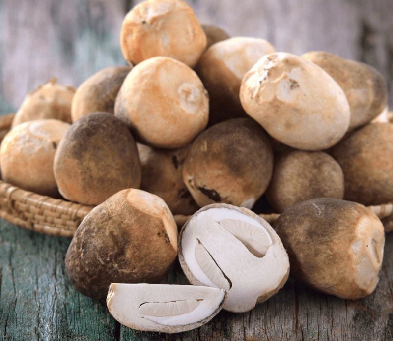 cach-che-bien-nam-rom-sai-lam-1942 Nấm rơm là một nguyên liệu mỏng manh, dễ bị hỏng nếu không được sơ chế và chế biến đúng cách