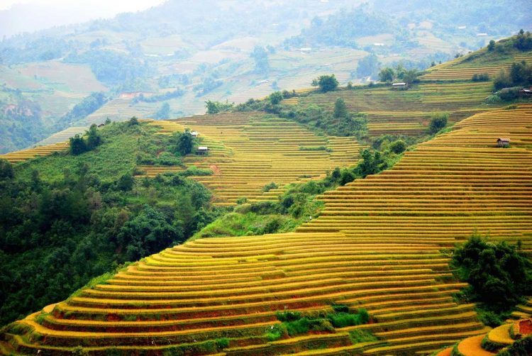 địa điểm du lịch Yên Bái