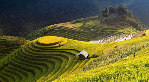 địa điểm du lịch Yên Bái