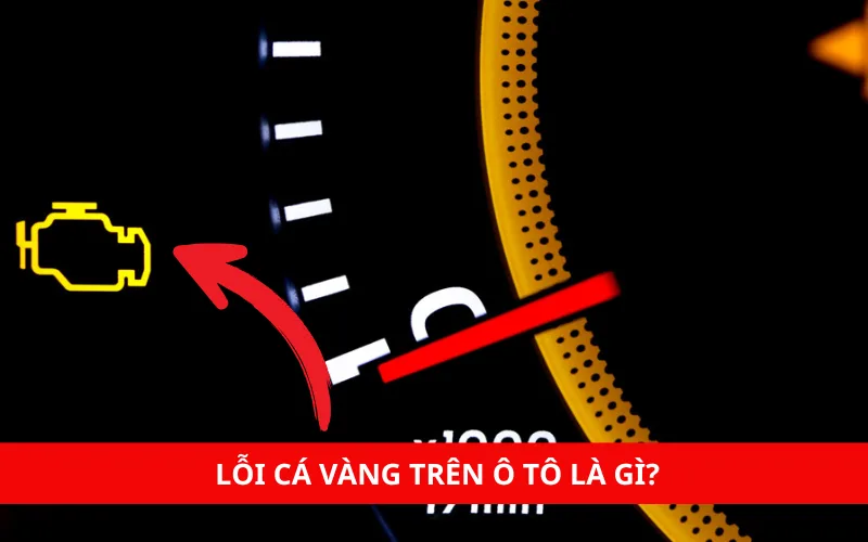 Lỗi cá vàng trên ô tô là gì?