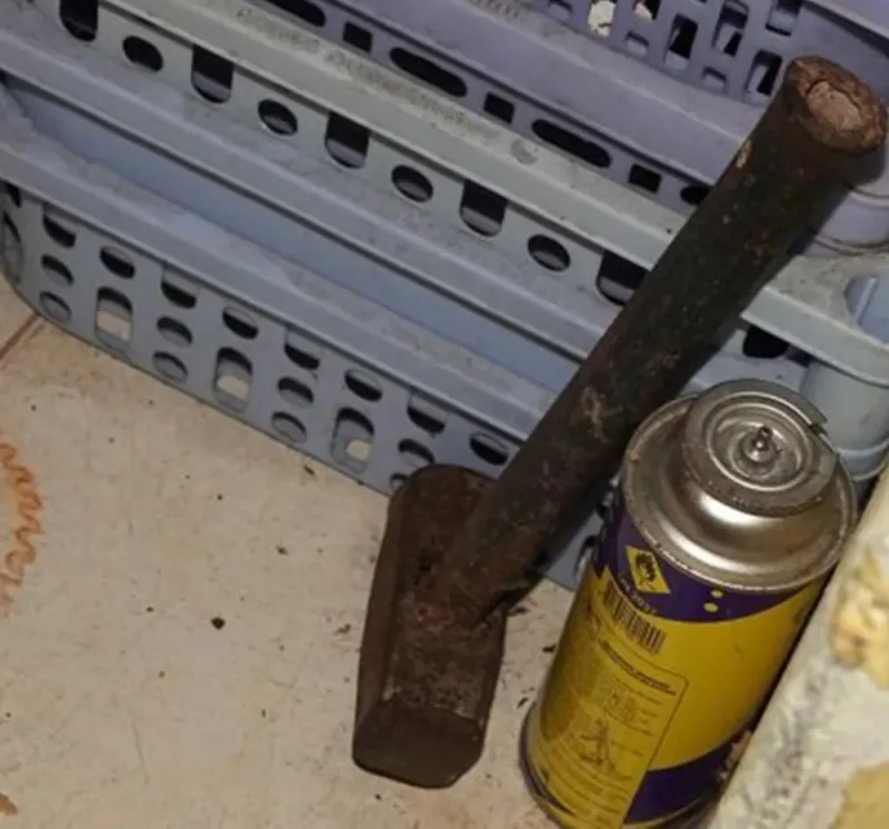 quoc-tich-nga (4).jpg