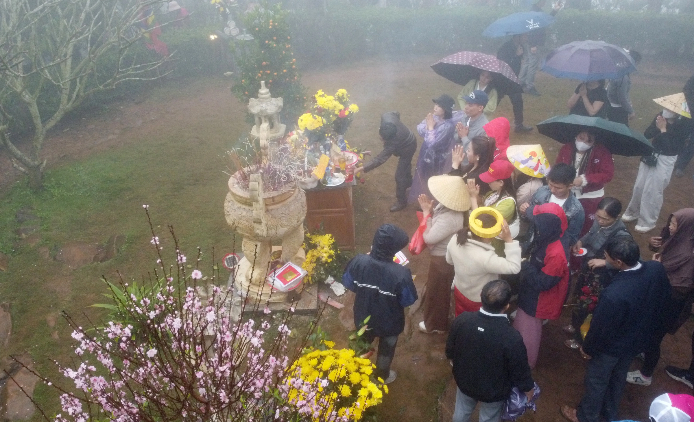 am-tien-jpeg-1772015130-1772015851