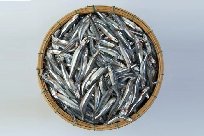 8rfmifx50k1-cnt18oiriz2-t7rjblckit3 Loại cá ít ngậm thuỷ ngân nhất, là món khoái khẩu trong mâm cơm nhiều gia đình Việt Ảnh 1