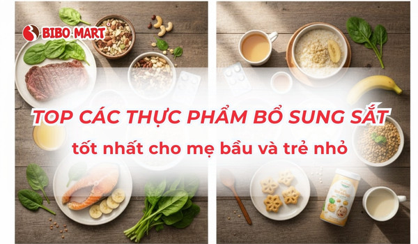 cac-thuc-pham-bo-sung-sat-227112025072825-1 các thực phẩm bổ sung sắt