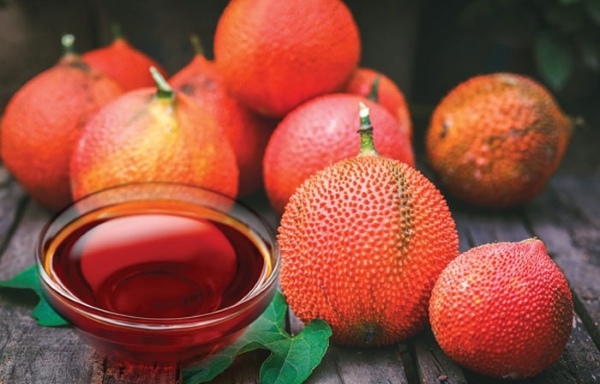 cach-lam-dau-gac-cho-be-1 Dầu gấc là dầu chiết xuất từ màng của quả gấc