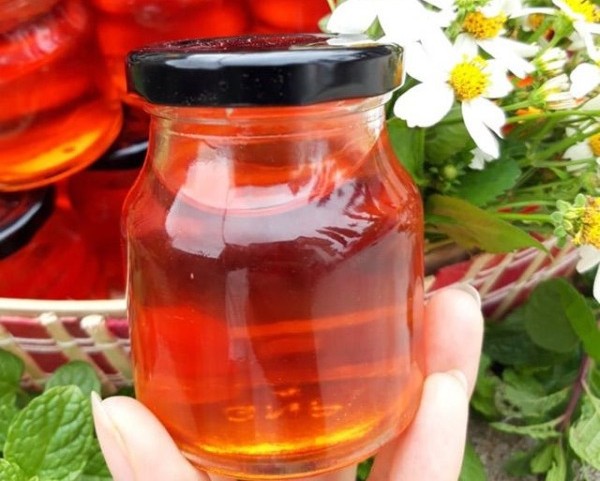 cach-lam-dau-gac-cho-be-5 Dầu gấc tự nhiên giúp phát triển thể chất và trí não