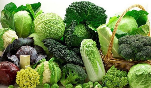 chat-sat-trong-thuc-pham-nao-de-hap-thu27112025072827 Các thực phẩm từ rau bổ sung sắt