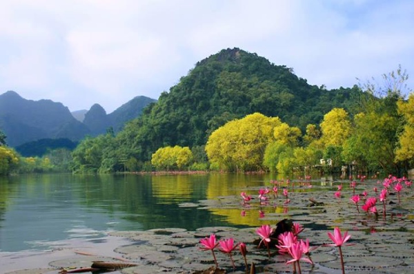 Các ngôi chùa Hà Nội