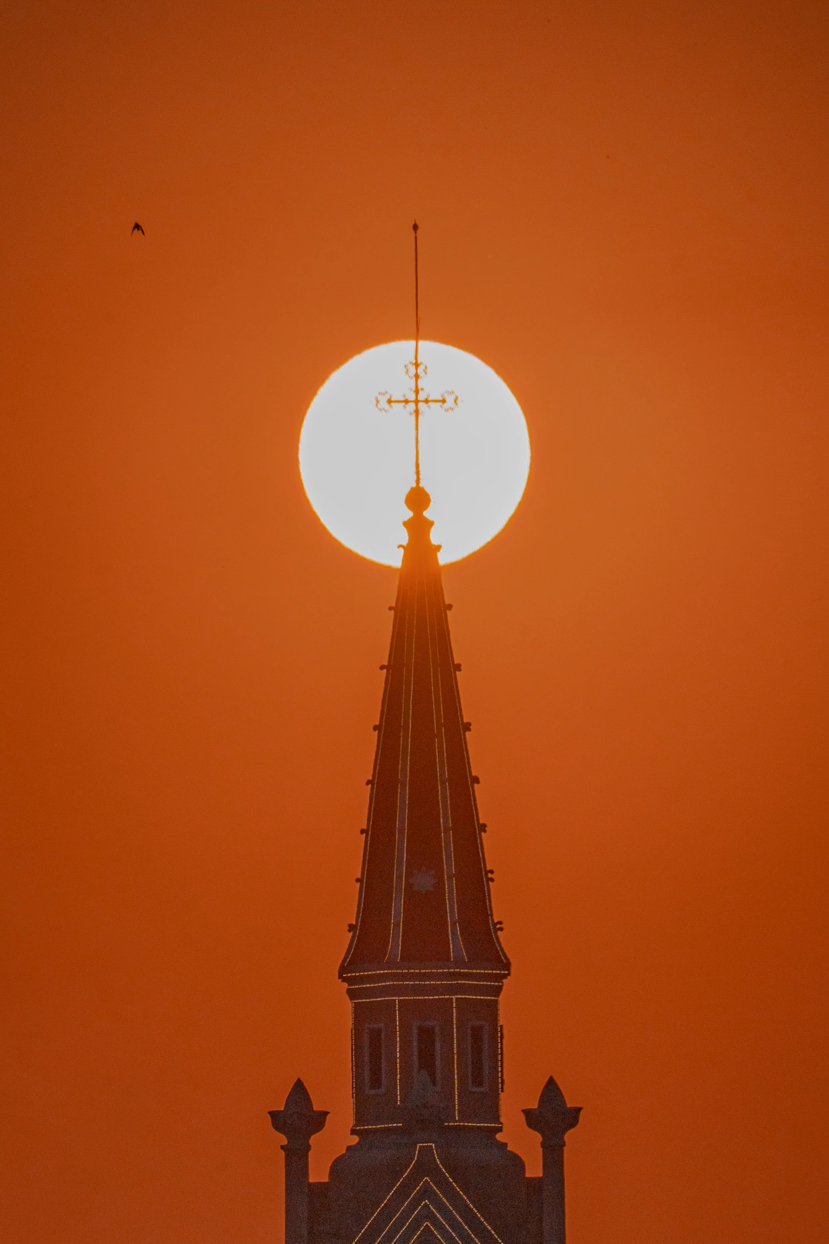 cnt7084-copy-2-1774365333-1774365874