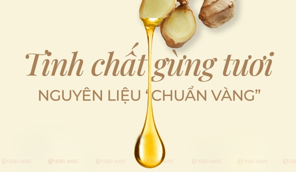 Tinh chất gừng tươi chiết xuất