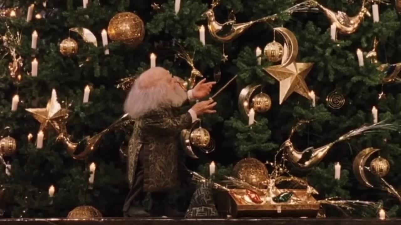 Diễn viên 'Harry Potter' nhận huân chương từ Thân vương William