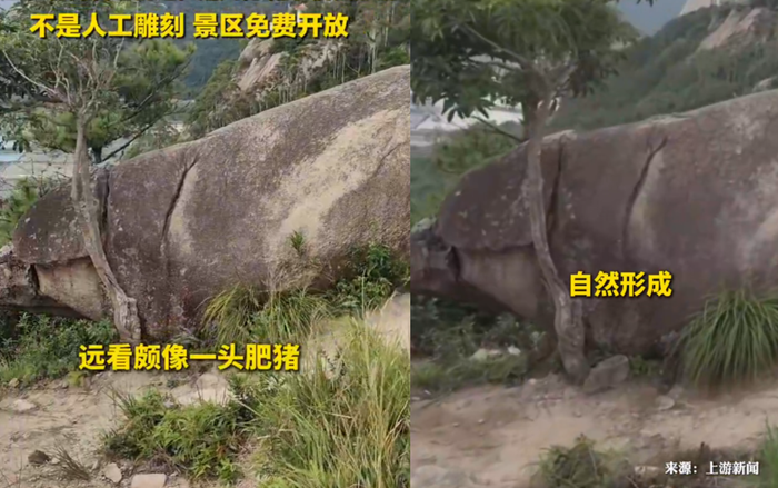 g2bio7lrbh1-j0dbwosx0x2-89ue8jm1x63 Phát hiện 'lợn đá nghìn năm tuổi' giống hệt Trư Bát Giới, người dân xôn xao Ảnh 2