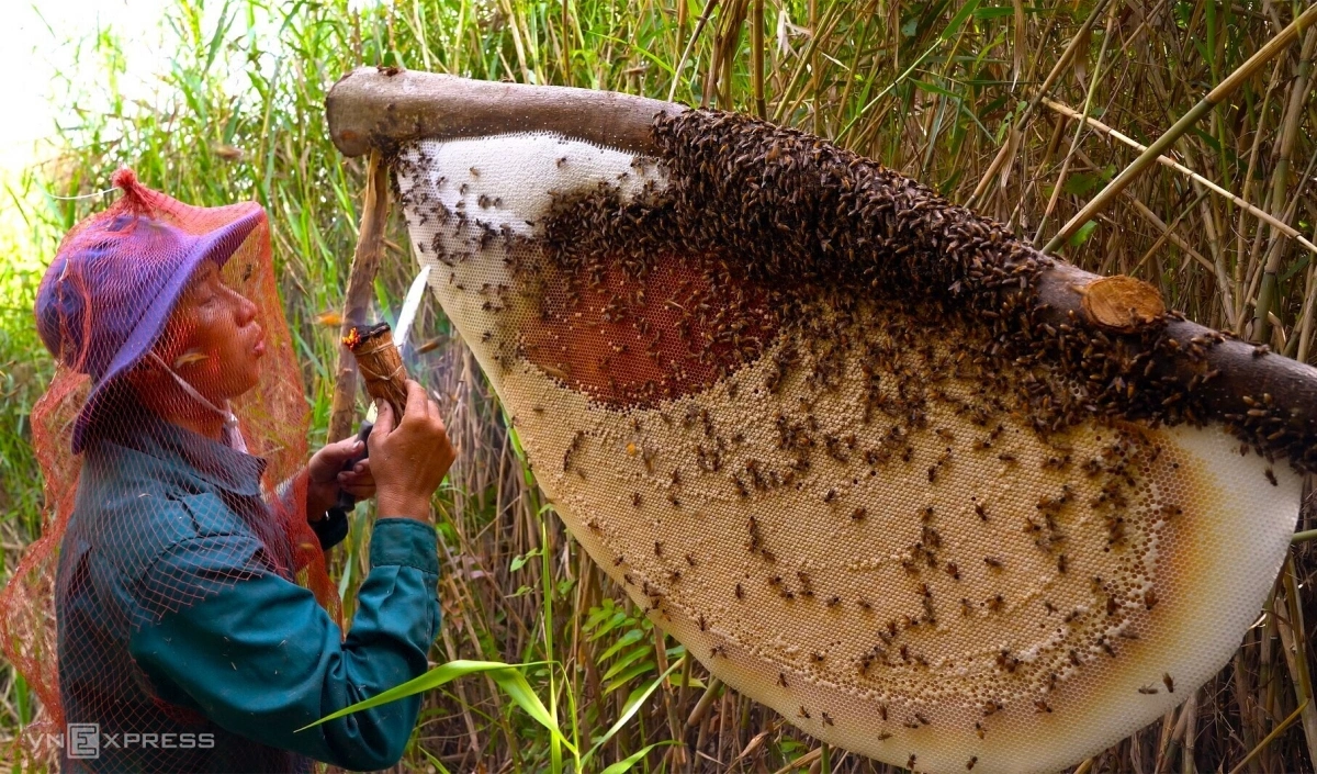 gac-keo-ong-4-1774594058-1774594216