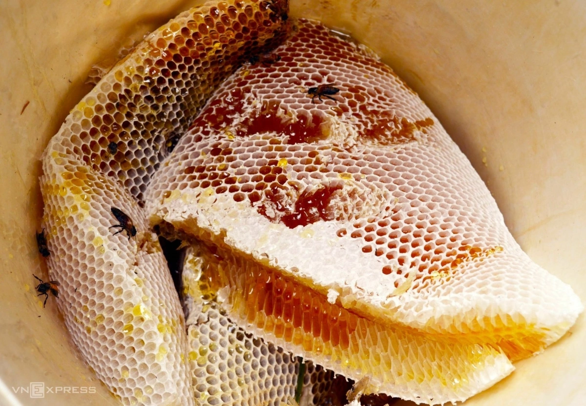 gac-keo-ong-7c-1774593297-1774593455