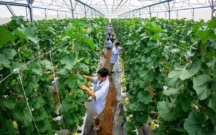 Muốn làm trong lĩnh vực dầu mỏ, dầu khí, học ngành gì? - Ảnh 10.