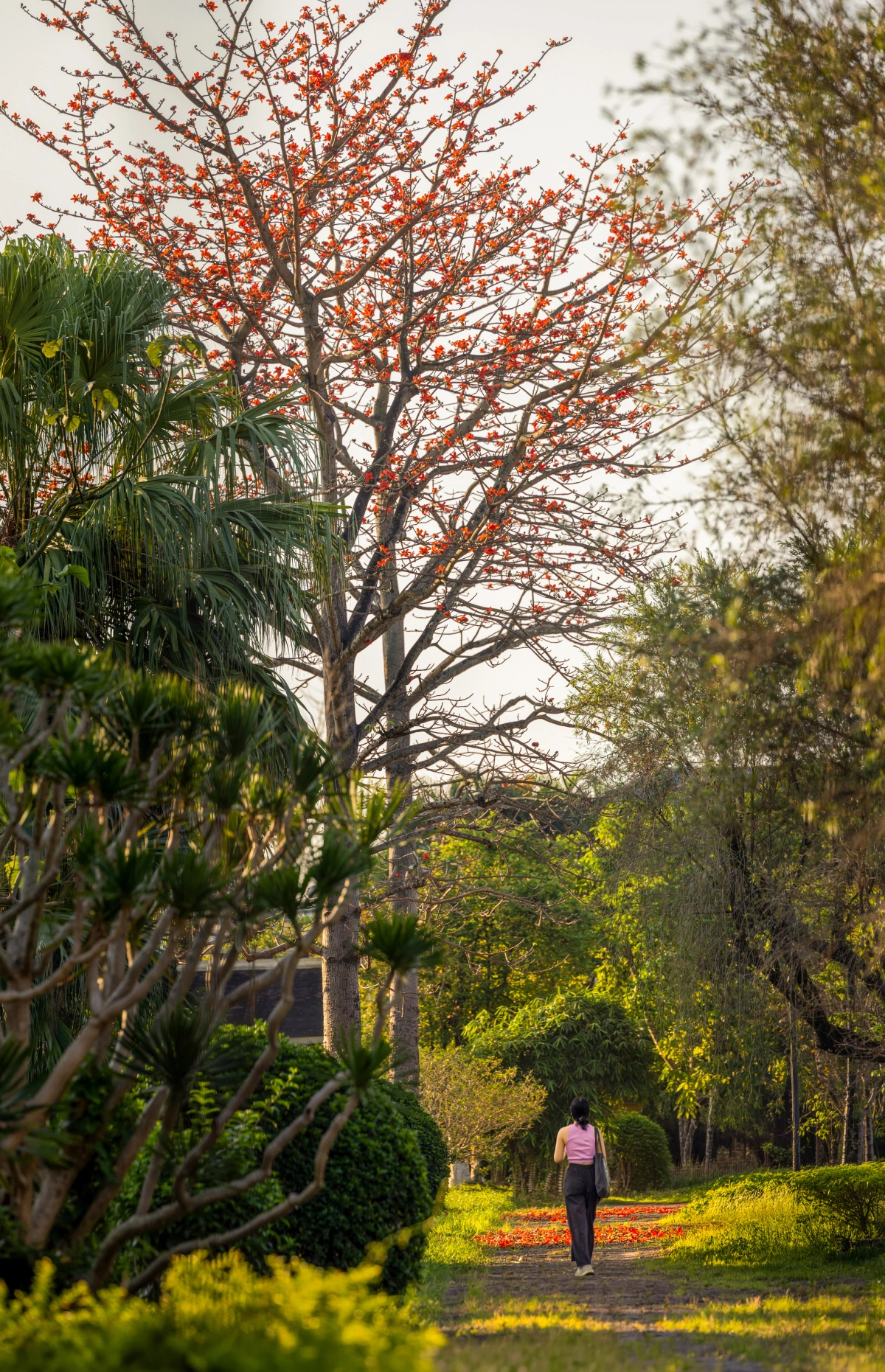 imgl9918-2-1773594763-1773595095