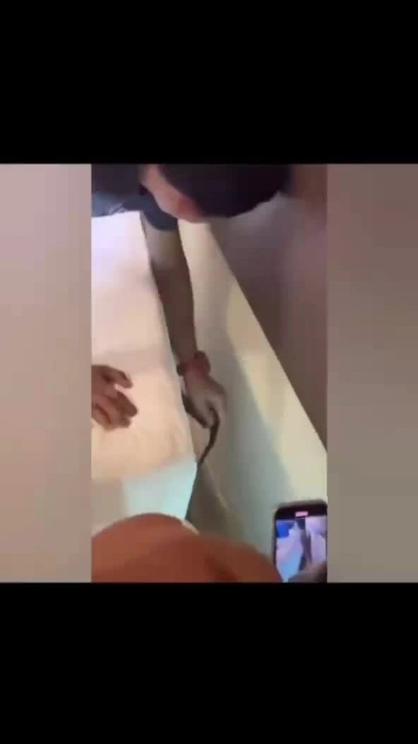 Khách hốt hoảng khi phát hiện rắn hổ mang cạnh giường ngủ tại khách sạn